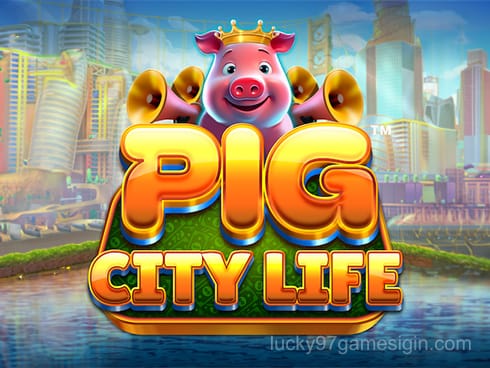 Pig City Life