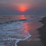 Avatar of Naima Khan